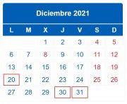 Calendario contribuyente. Diciembre 2021