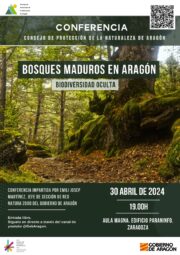 El Consejo de Protección de la Naturaleza organiza una conferencia sobre los últimos bosques vírgenes de Aragón y las especies que albergan